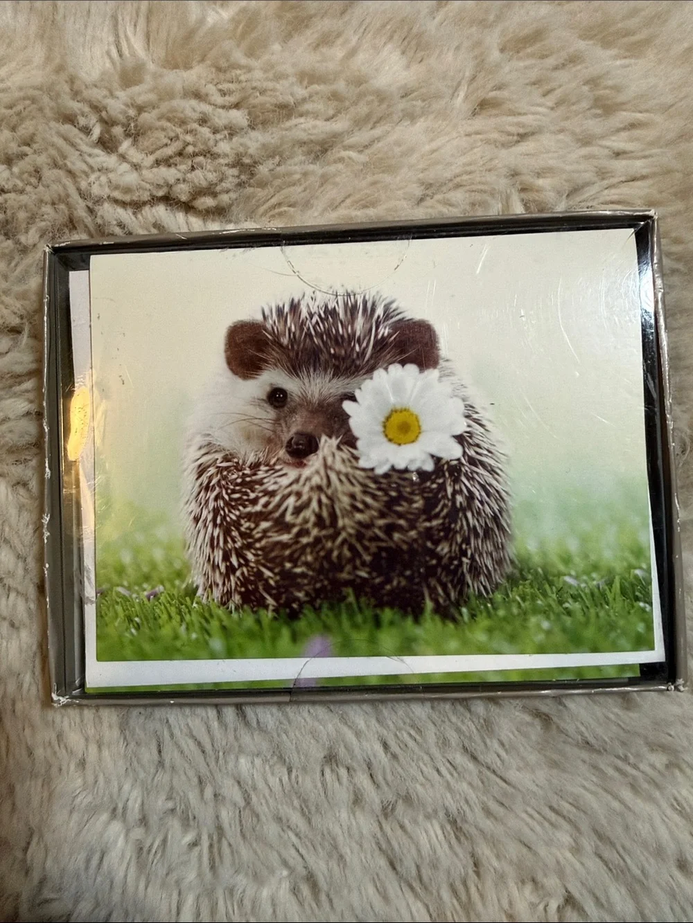 ✨American Greeting- Hedgehog & Dog Blank Cards and Envelops Set✨